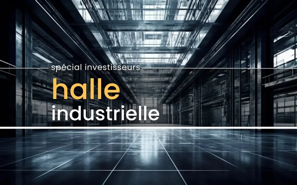 Sierre | Iles Falcon - Grande surface industrielle