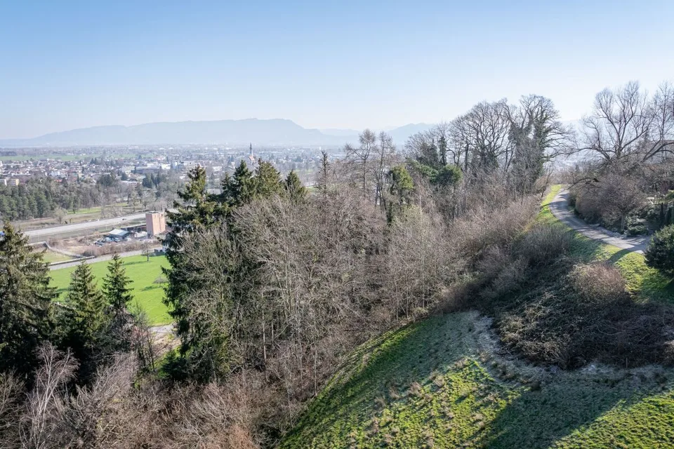 Terrain à bâtir en hauteur au Apfelberg