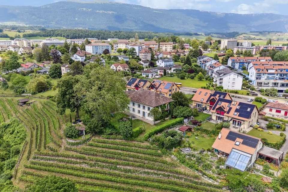Prächtiges historisches Anwesen auf einem Weingut!