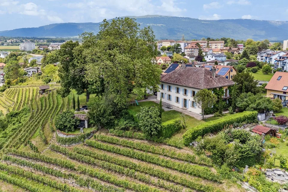 Prächtiges historisches Anwesen auf einem Weingut!