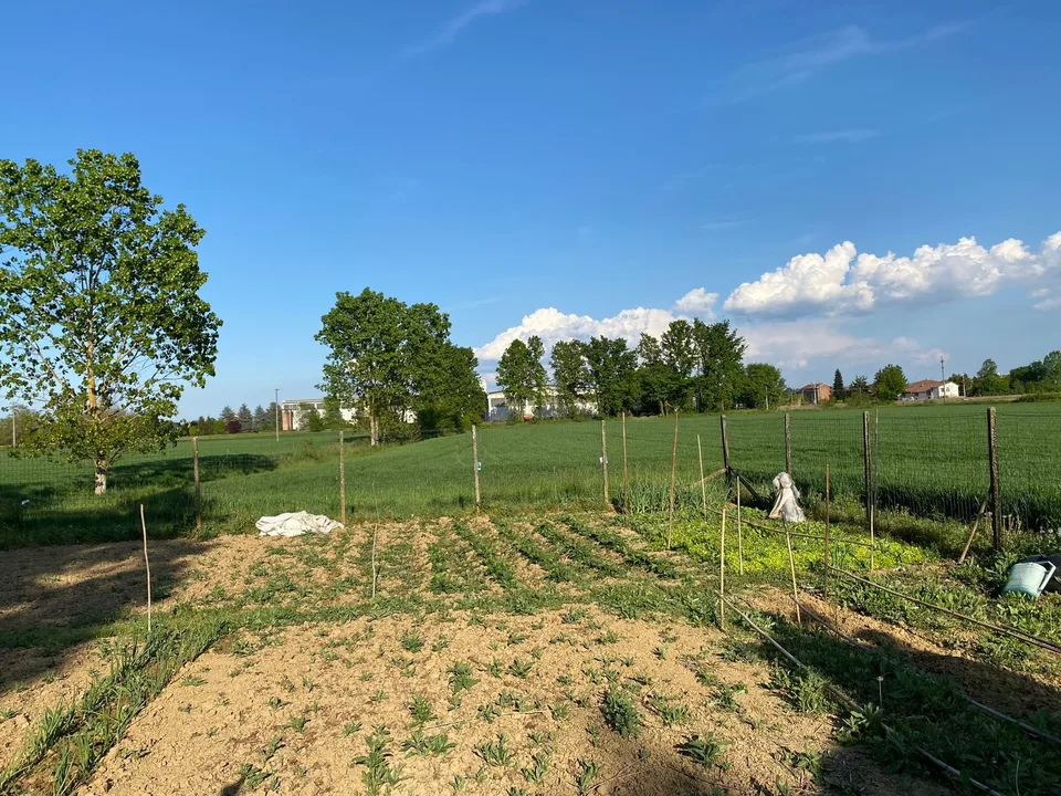 Sehr gepflegtes Landhaus in ruhiger und sonniger Süd-Lage mit großem Grundstück – Foto 22 von 26