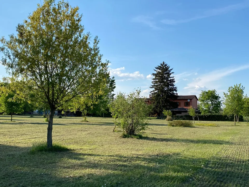 Sehr gepflegtes Landhaus in ruhiger und sonniger Süd-Lage mit großem Grundstück – Foto 23 von 26