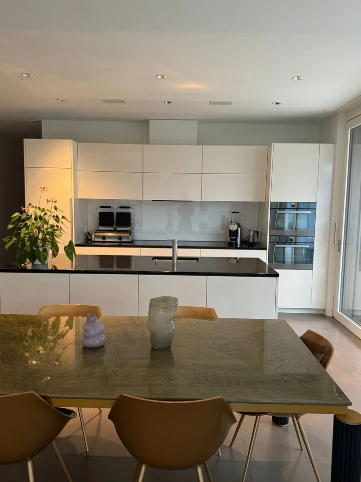 Appartement terrasse exclusif de 3,5 pièces avec grande terrasse ensoleillée à Hergiswil