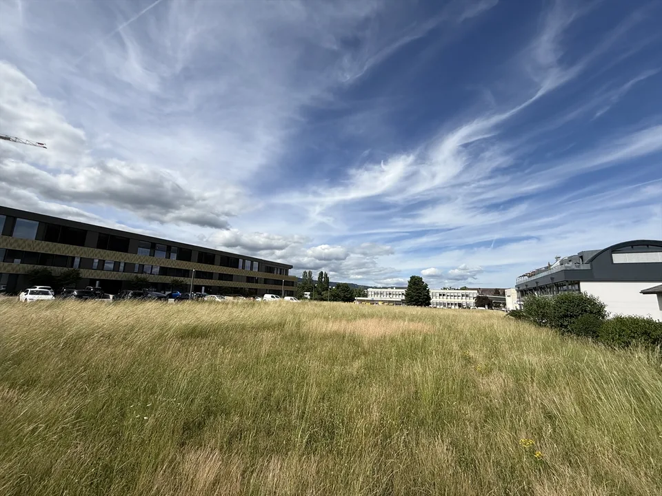 Terrain - Zone Activité Economique