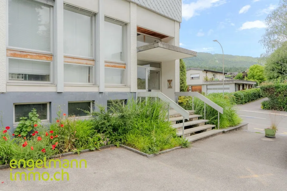 Objet de placement: locaux commerciaux, garage et atelier