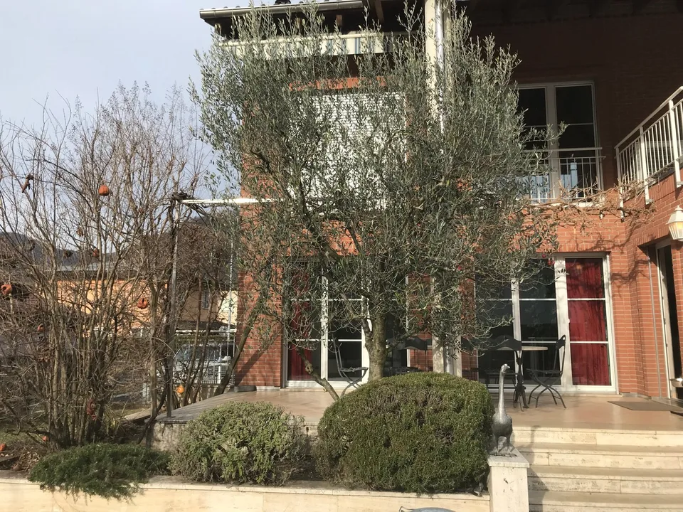 Caslano – Moderna villa con piscina, giardino e monolocale indipendente