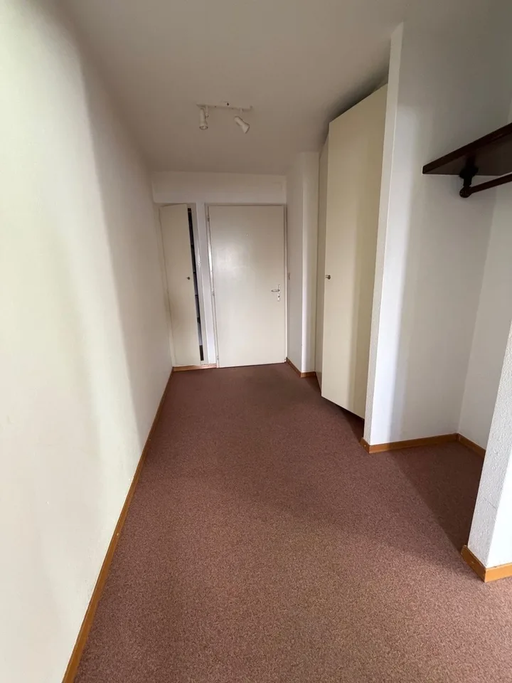 Bright apartment to renovate