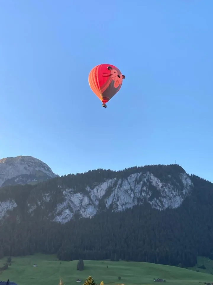 Prächtige 5.5-Zimmer-Wohnung mit Panoramablick auf die Alpen - Château-d'Oex – Foto 12 von 12