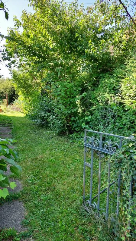 Terreno senza obbligo di architettura