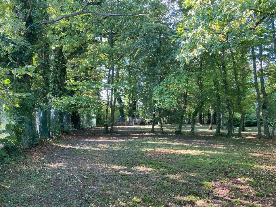 Superba casa padronale su un parco alberato di 13'000 m2