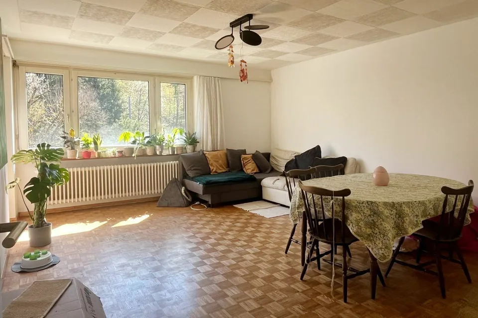 Wohnung mit Balkon mit Sicht ins Grüne nahe dem Dättwiler Weiher