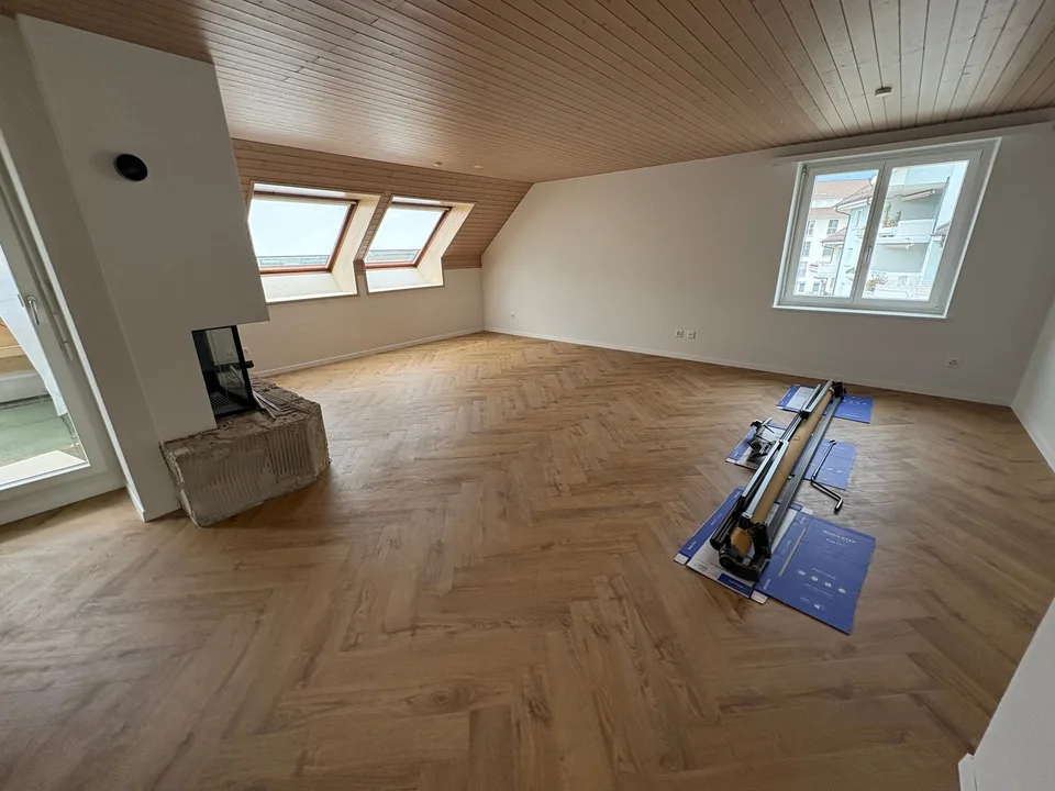 Appartement de toit unique de 4,5 pièces avec cheminée et belle vue à Menziken