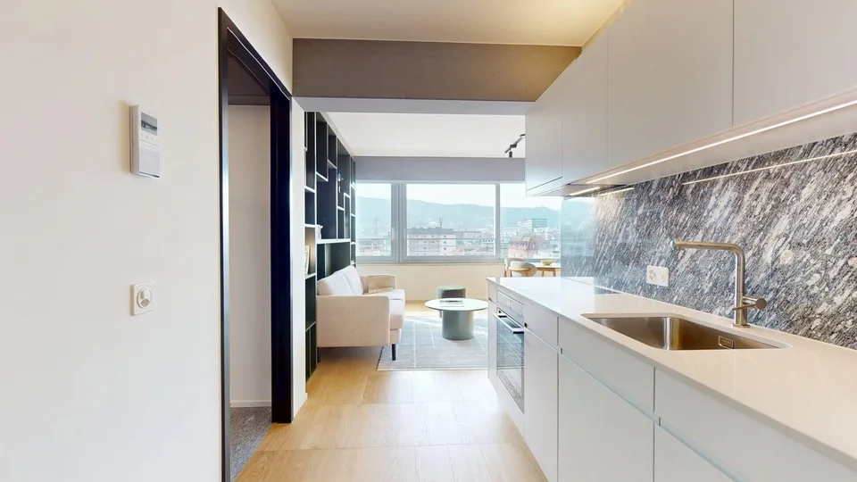Appartamento premium 1 camera nella nuova torre Alto – Freihofstrasse 23, Zürich