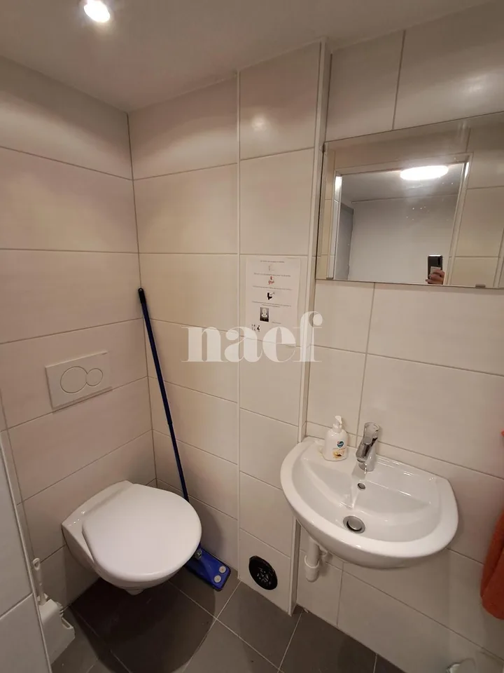 Kellerbereich mit WC (Werkstatt, Lager)