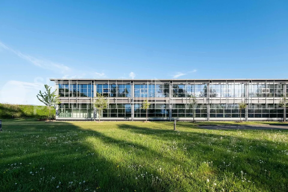 Large office space of 1,450 m² for rent - Onyx Business Park – photo 11 of 13