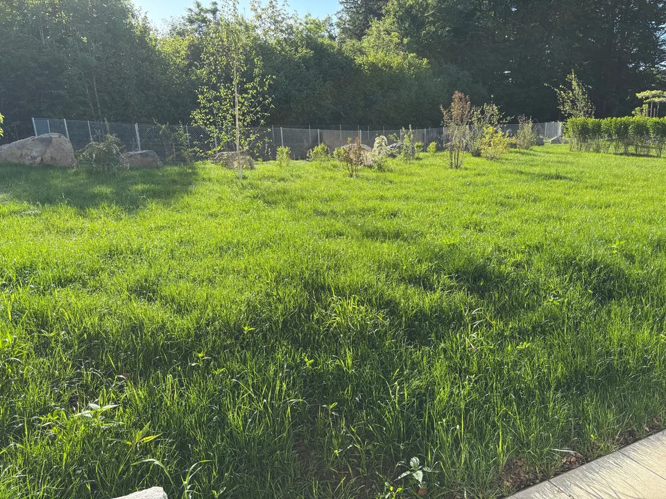 Affitto per la prima volta: paradiso del giardino - appartamento di 4,5 locali con grande giardino
