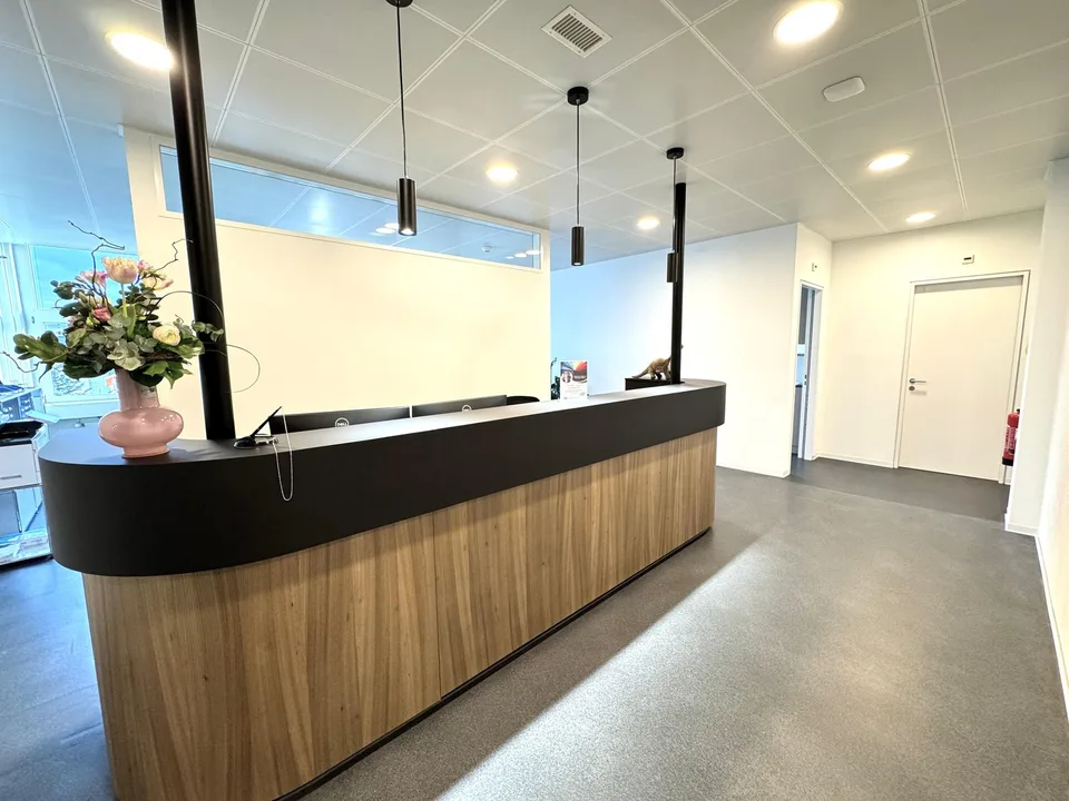 DAMMPARK: Exclusive office space or practice near Frick train station – photo 8 of 21