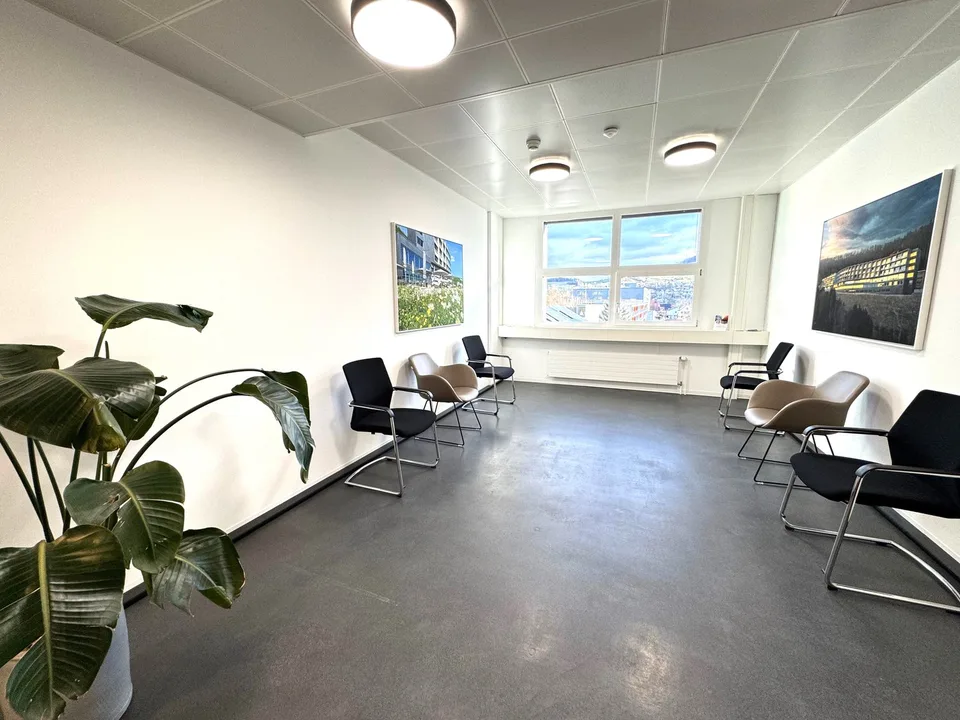 DAMMPARK: Exclusive office space or practice near Frick train station – photo 10 of 21