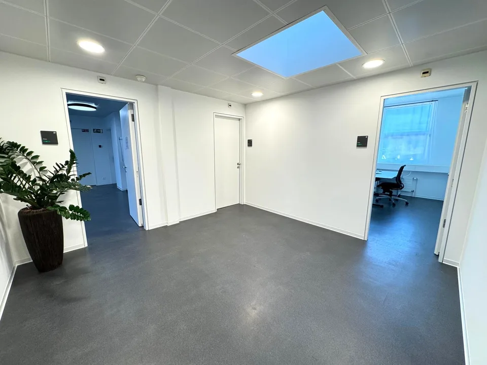 DAMMPARK: Exclusive office space or practice near Frick train station – photo 13 of 21
