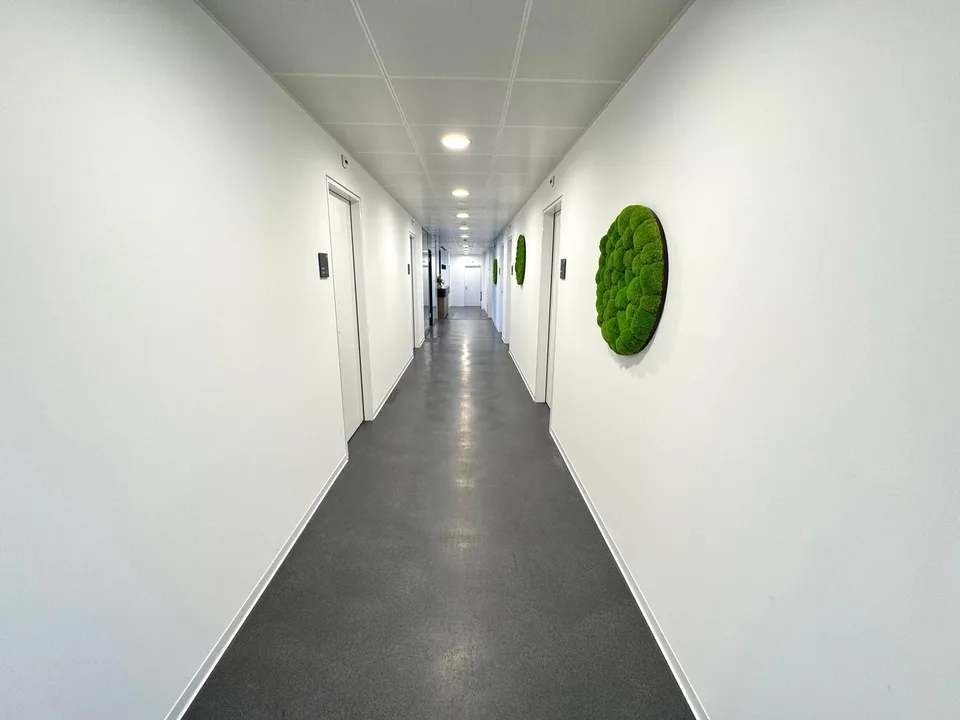 DAMMPARK: Exclusive office space or practice near Frick train station – photo 7 of 21