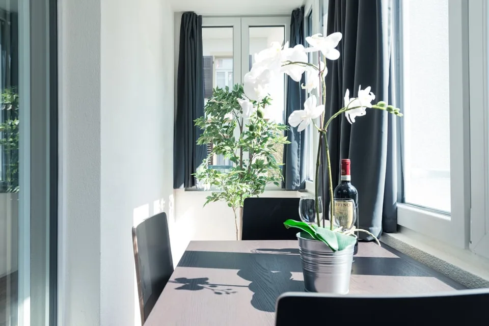 Charmantes möbliertes 1.5-Zimmer Studio beim Triemli – photo 15 of 21