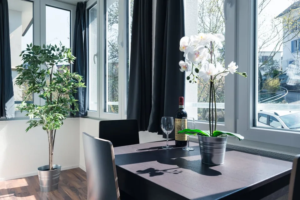 Charmantes möbliertes 1.5-Zimmer Studio beim Triemli – photo 16 of 21