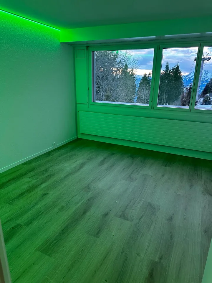 Charmant studio 1 pièce dans un endroit calme à Rigi Kaltbad