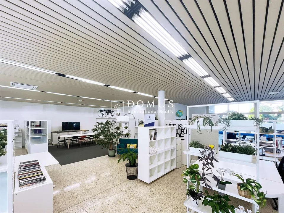 Open space con vetrine zona passaggio