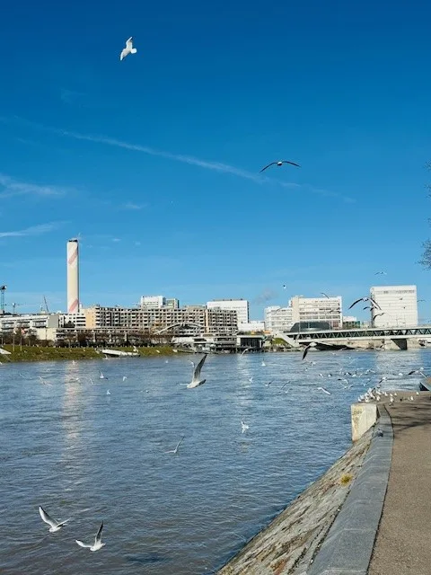 Gemütliche, charmante 2.5-Zimmer-Wohnung im Herzen von Basel Nähe Rhein