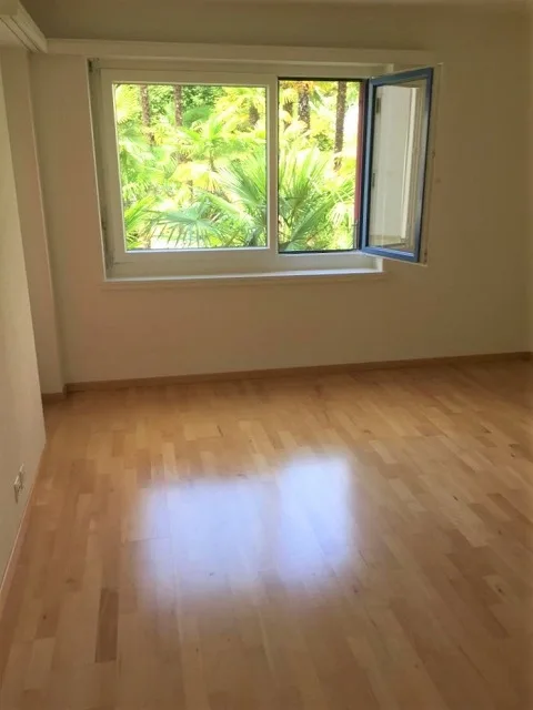 Appartamento bello vicino al Lago Maggiore vicino a Locarno