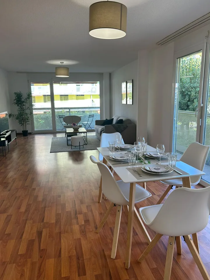 Neugasse 83 – Spacious Newly Furnished 2-Bedroom Apartment in the Heart of Zurich!