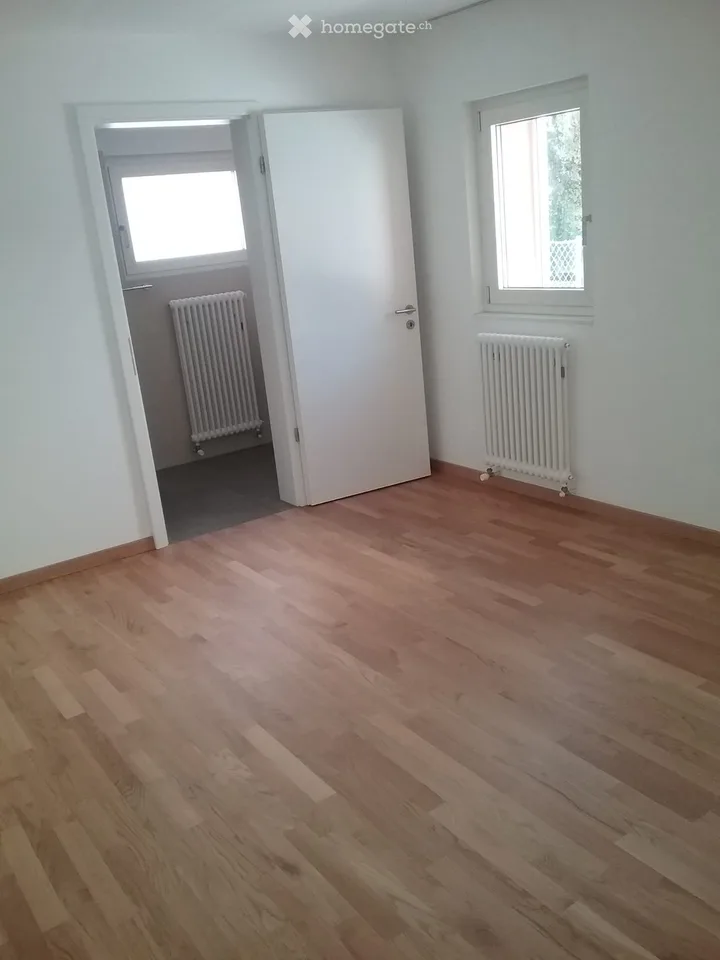 Apartment 4 1/2 in Capriasca