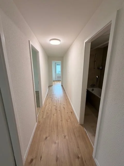 Erstvermietung nach Renovierung – Moderne 4.5-Zimmerwohnung in Trimbach