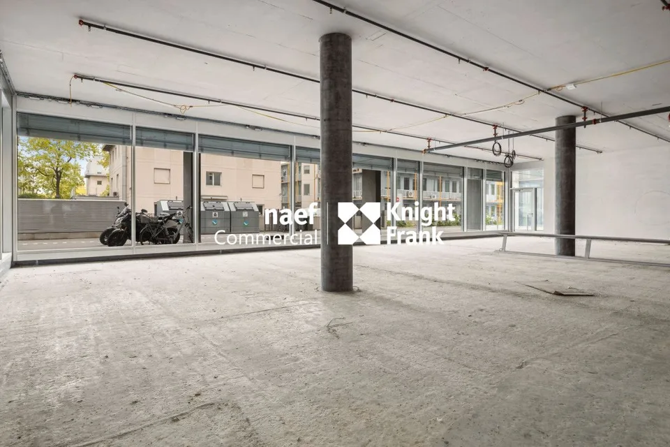 Stellar 32 - Bella arcata di ca. 290 m²