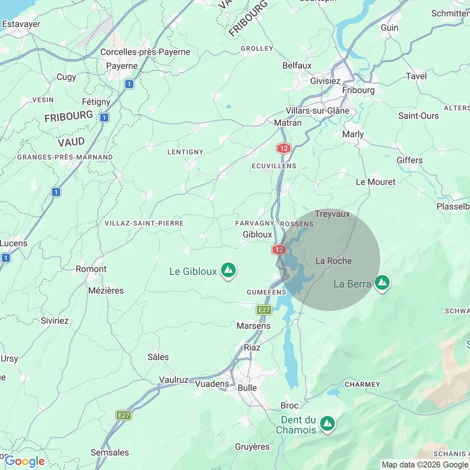 DERNIERE OPPORTUNITE VILLA NEUVE EN GRUYERE