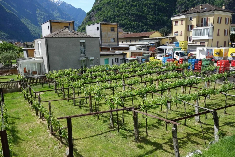 Baugrundstück von 1289 m2 mit genehmigter Lizenz