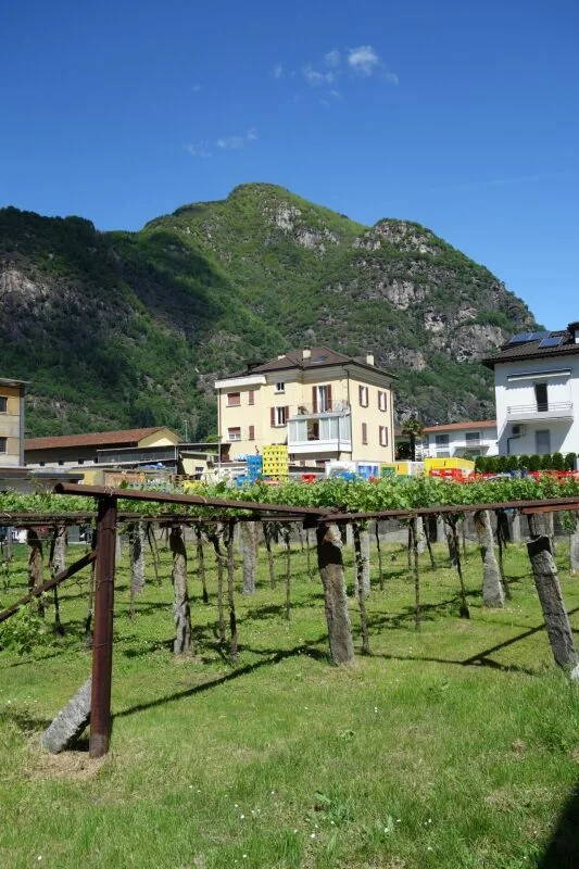 Baugrundstück von 1289 m2 mit genehmigter Lizenz