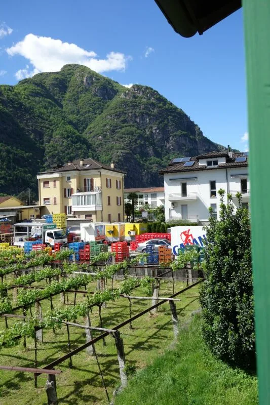 Baugrundstück von 1289 m2 mit genehmigter Lizenz