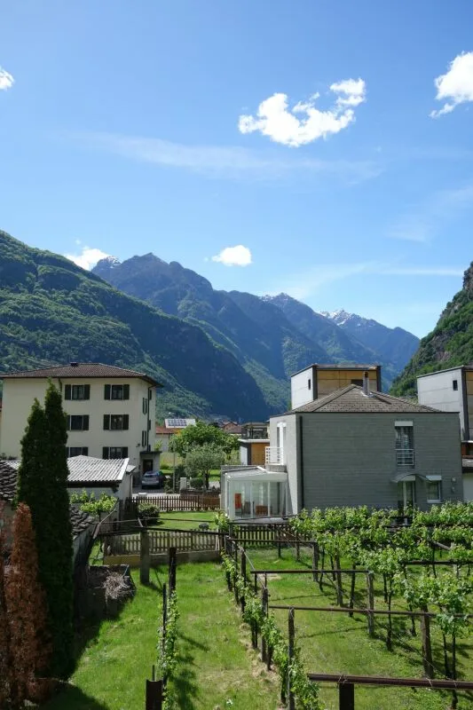 Baugrundstück von 1289 m2 mit genehmigter Baugenehmigung – Foto 6 von 9