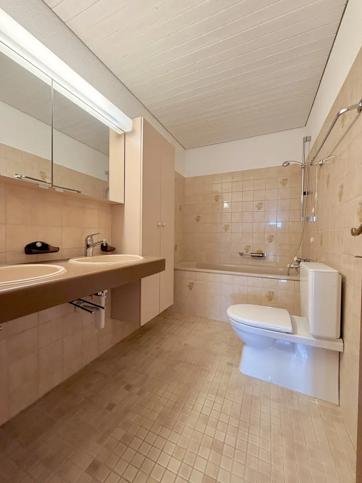 Panorama-Wohnung mit 160 m² Nebenraum - Wohnen ohne Grenzen