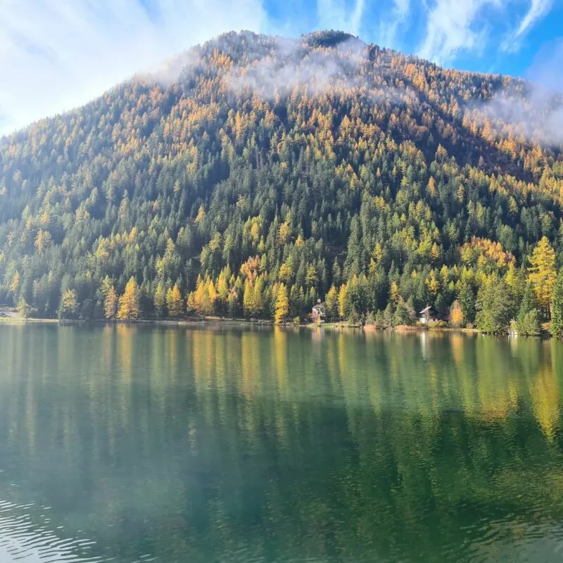 Superbe appartement de 3.5 pièces à Champex-Lac