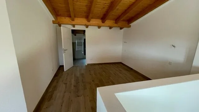 DUPLEX 4,5 Lokale renoviert