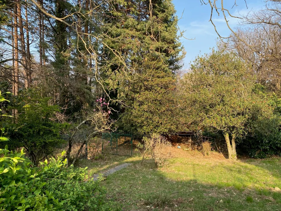 Rustico in posizione tranquilla e molto soleggiata con grande terreno e vista lago – foto 16 di 20