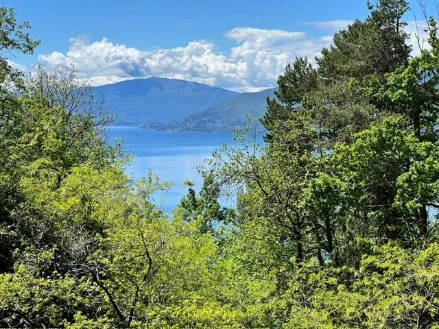 Rustico in posizione tranquilla e molto soleggiata con grande terreno e vista lago – foto 20 di 20