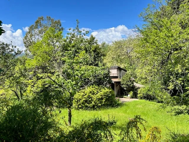 Rustico in posizione tranquilla e molto soleggiata con grande terreno e vista lago – foto 19 di 20