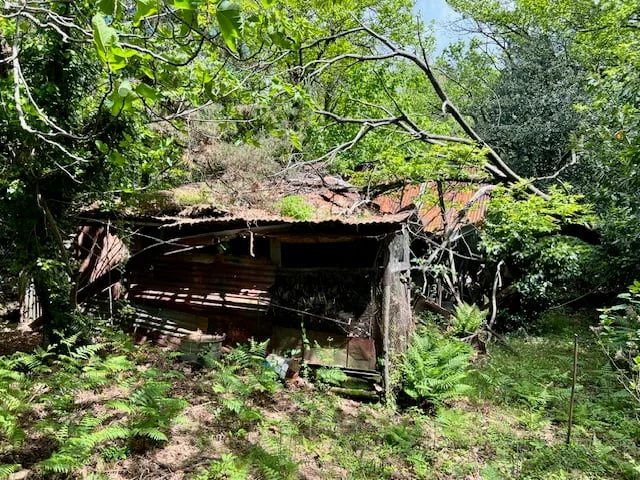 Rustico in posizione tranquilla e molto soleggiata con grande terreno e vista lago – foto 17 di 20