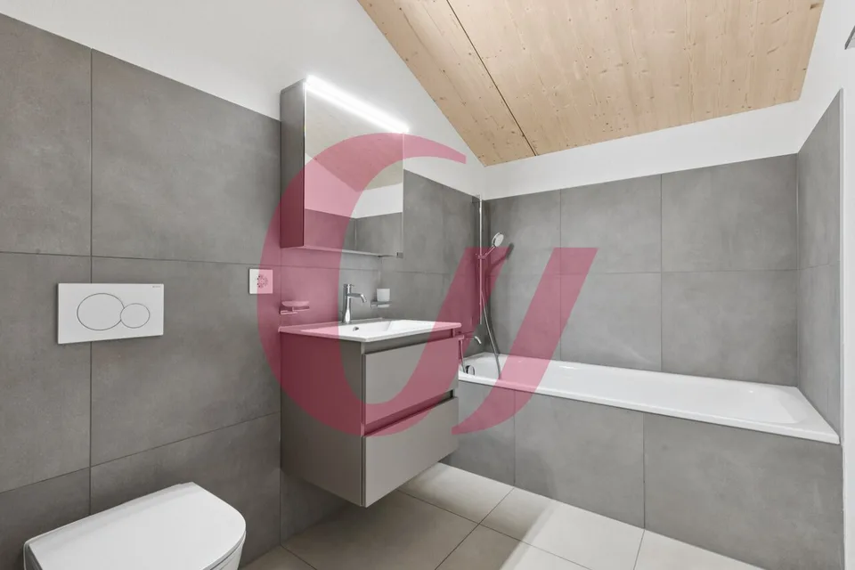 Die Häuser von Lys in Albeuve! – Foto 10 von 12