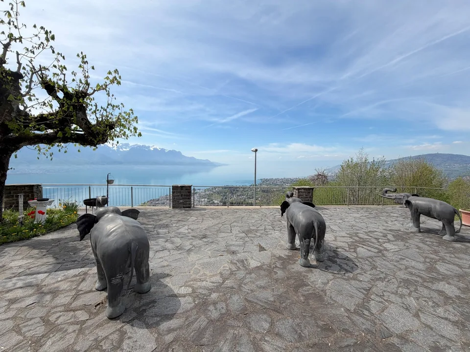 Exklusiv! Villa mit Panoramablick auf Montreux