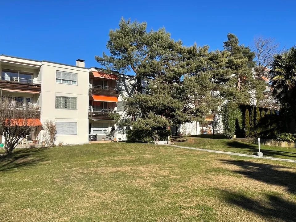 COMODO E SPAZIOSO 4.5 LOC. NEL VERDE A DUE PASSI DAL CENTRO