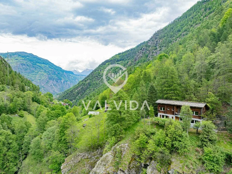 Natura pura - Casa vacanza in posizione pittoresca e tranquilla – foto 12 di 16